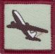 Flight Badge Level 2