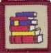 Literature Level 2 Achievement Badge