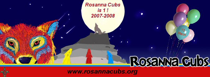 Rosanna Cub Scouts 1st Birthday